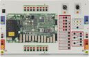 Bus-controlled hazard alarm system with LAN interface and WEB interface